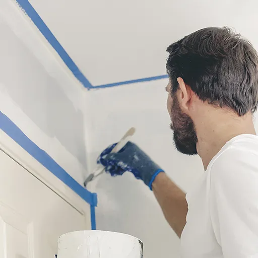 Home Painting Business
