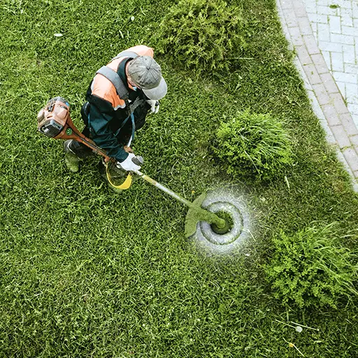 Landscaping Business