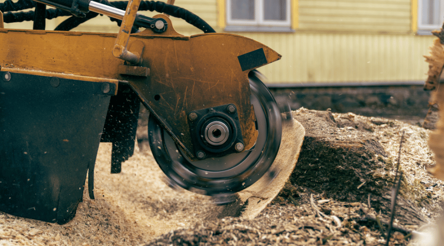How to Start a Stump Grinding Business